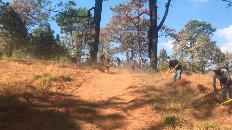 Estudiantes del Cecytem Tacámbaro dan mantenimiento a brechas cortafuego