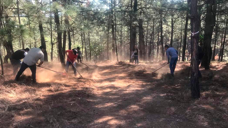 Estudiantes del Cecytem Tacámbaro dan mantenimiento a brechas cortafuego