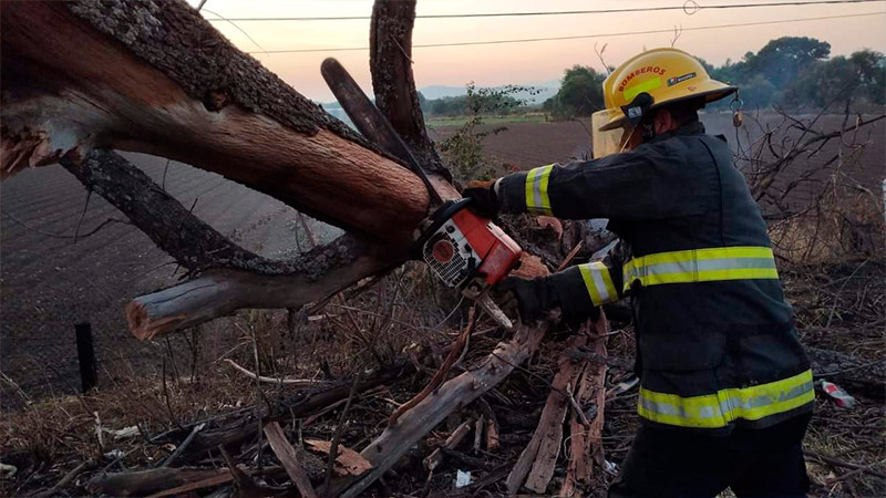 Cae árbol en la autopista Morelia-Salamanca, sólo hubo caos vehicular 