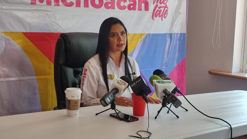 Golpes entre brigadistas, resultado de polarización: Araceli Saucedo 