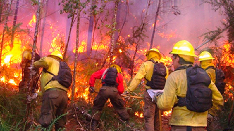 Devastadas 19 mil hectáreas en Edomex por incendios forestales  