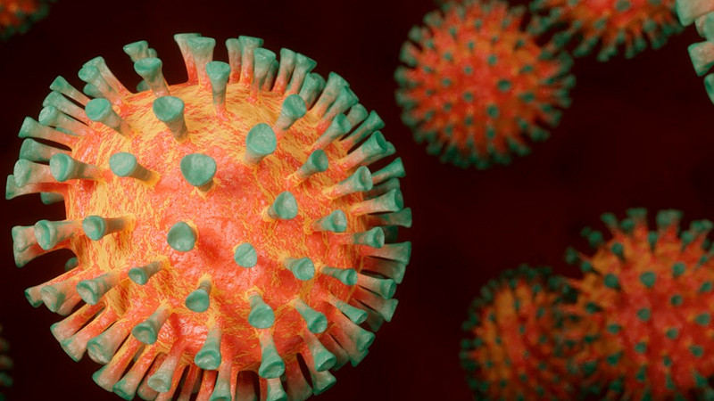 OMS muestra "una enorme preocupación" por transmisión de gripe aviar H5N1 a humanos 
