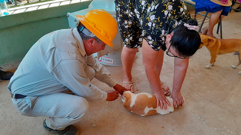 SSM, sin tregua a las acciones preventivas contra la rabia