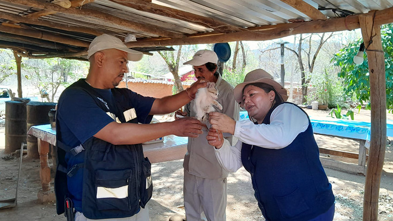 SSM, sin tregua a las acciones preventivas contra la rabia