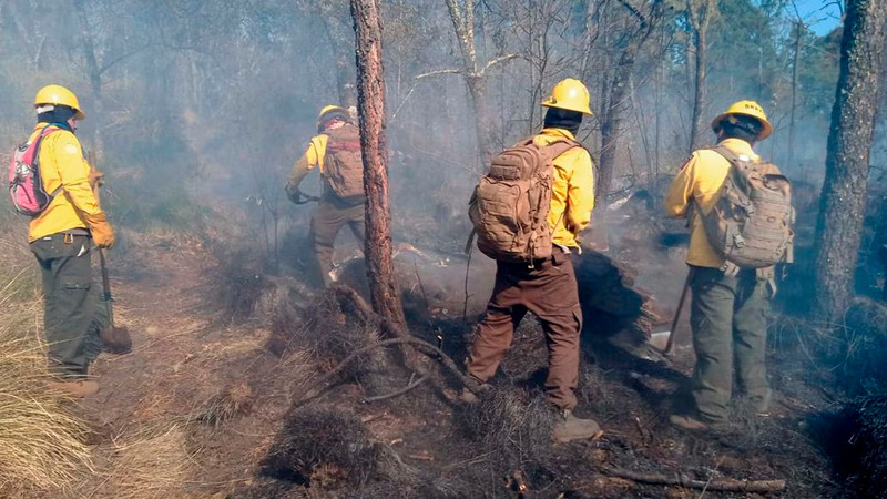 Más de mil hectáreas afectadas por incendios forestales en Morelos 
