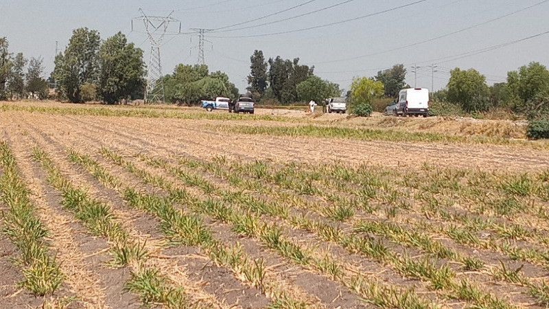 Hallan cuerpo sin vida en la comunidad San Luis Rey de Guanajuato 