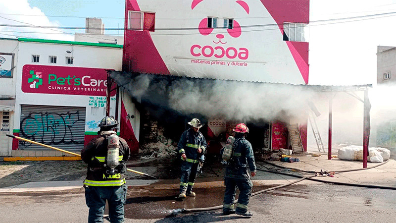 Rescatan a seis gatitos en fuerte incendio que consumió una dulcería y dos vehículos en Querétaro 