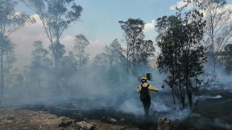 Controlado el incendio forestal registrado en Coalcomán: Cofom