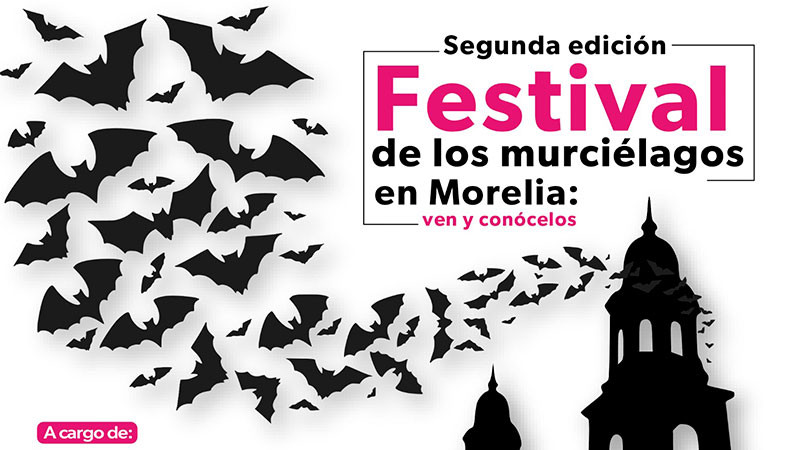Asiste al festival de los murciélagos en el Museo del Estado 