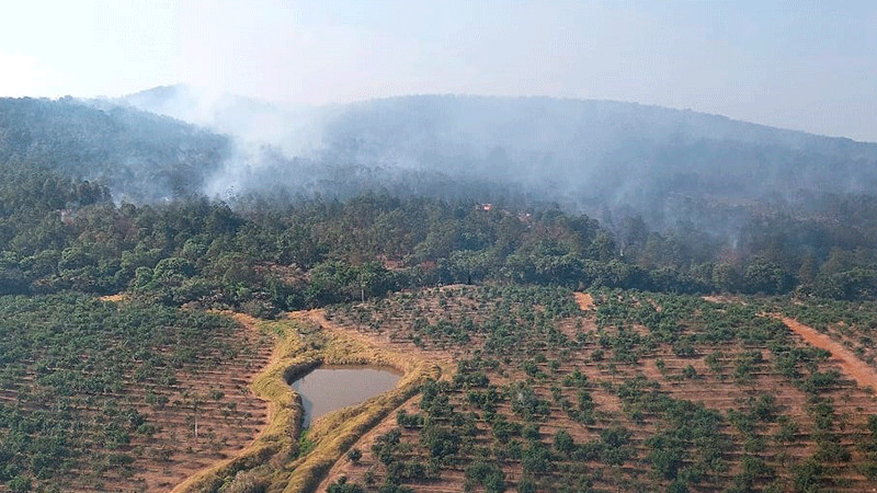 Controlado el incendio forestal en Ario; se atiende por aire y tierra 