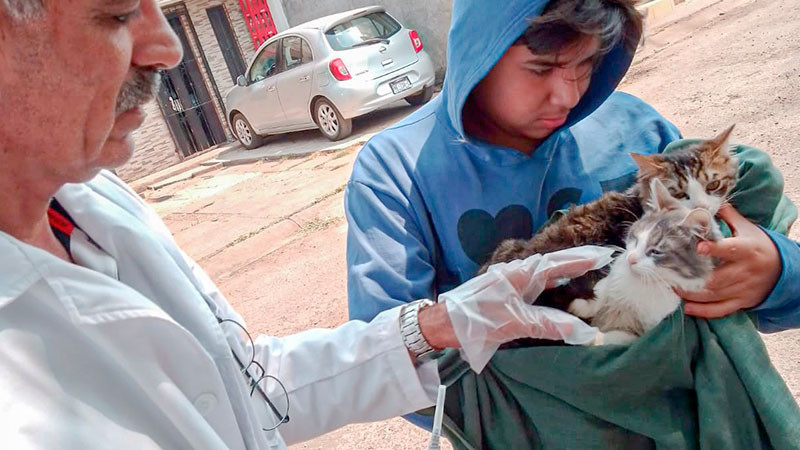 Continúa la vacunación antirrábica para animales de compañía en Uruapan 