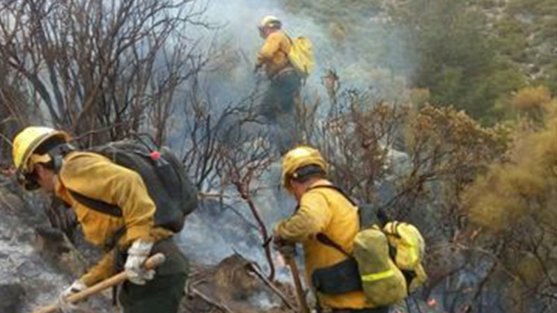 Activos, 80 incendios forestales en México; afectada más de 77 mil hectáreas 