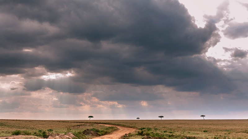 Temporada de lluvias deja 168 personas sin vida en África Oriental 