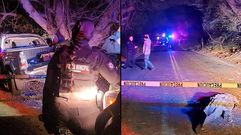 Cocodrilo provoca accidente vial en El Dorado, Sinaloa; hay 3 muertos 