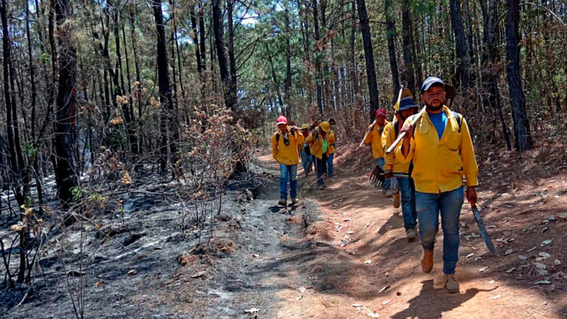 Controlado al 100 % el incendio forestal en Ario gracias al helicóptero con helibalde