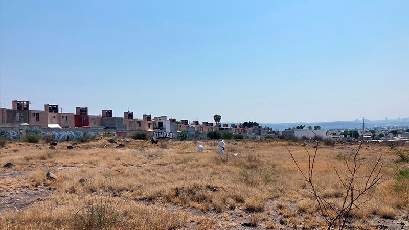Querétaro: Encuentran presuntos restos óseos en baldío 