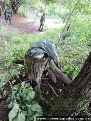 Aseguran dos kilos de metanfetamina ocultos en un tronco, en La Huacana, Michoacán - Foto 1 