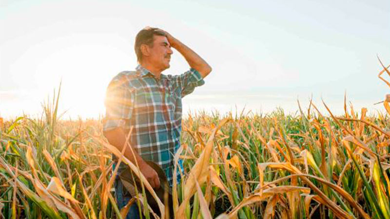 Cambio climático, un riesgo también para la salud laboral: experto  