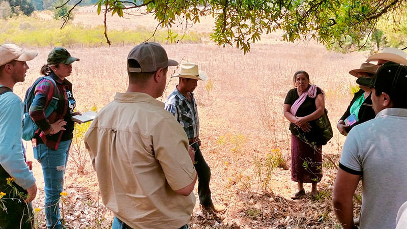 Con estas acciones comunidades se pueden sumar al rescate del lago de Pátzcuaro