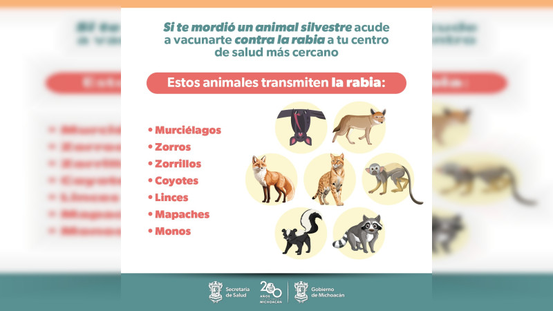 SSM ofrece vacunas para prevenir la rabia en humanos