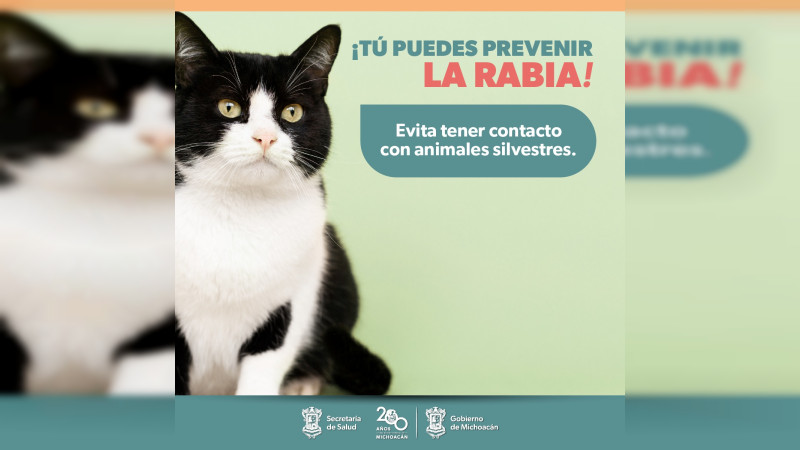 SSM ofrece vacunas para prevenir la rabia en humanos