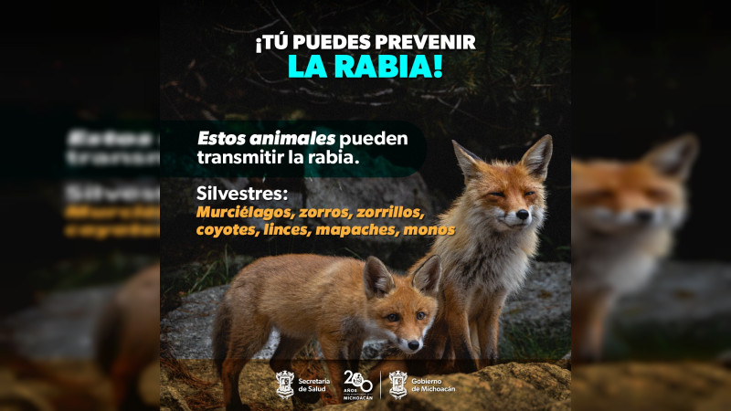 SSM ofrece vacunas para prevenir la rabia en humanos