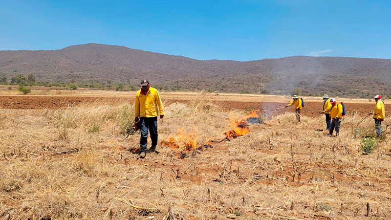 Brigadistas combaten por tierra y aire incendio forestal en Chilchota; atienden 9 más