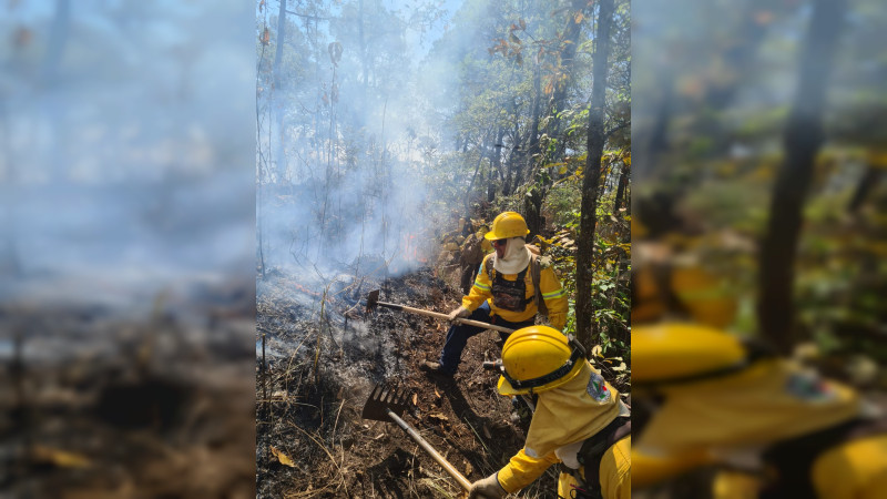 Controlados incendios en Uruapan que arrasaron 400 hectáreas: Acusan que fueron para “boicotear” visita de Sheinbaum a Michoacán  