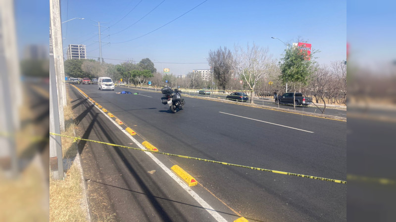 Abuelita muere atropellada en la avenida Luis Vega y Monroy de Querétaro  