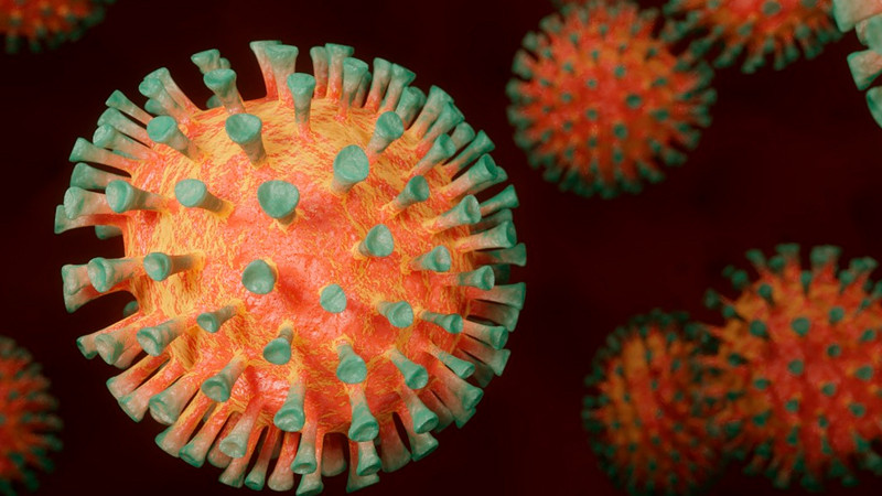 Nuevo brote de sarampión deja al menos 42 personas sin vida en Nigeria 