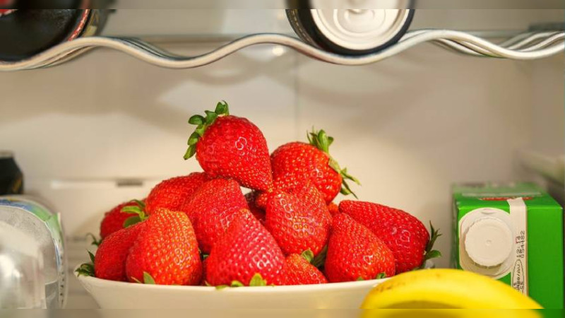 Recomienda sector salud refrigerar alimentos en temporada de calor 