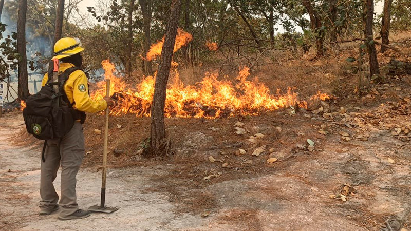 Se registra incendio forestal en Valle de Bravo 