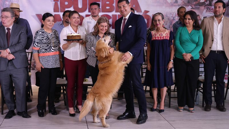 Alejandro Armenta propone albergue para perros de la calle y penalizar venta ilegal de mascotas en Puebla 