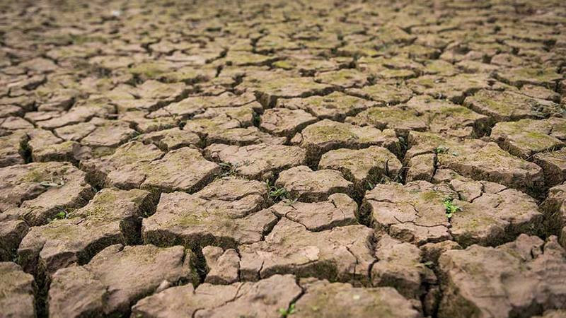 Durango registra sequía en todos sus municipios 