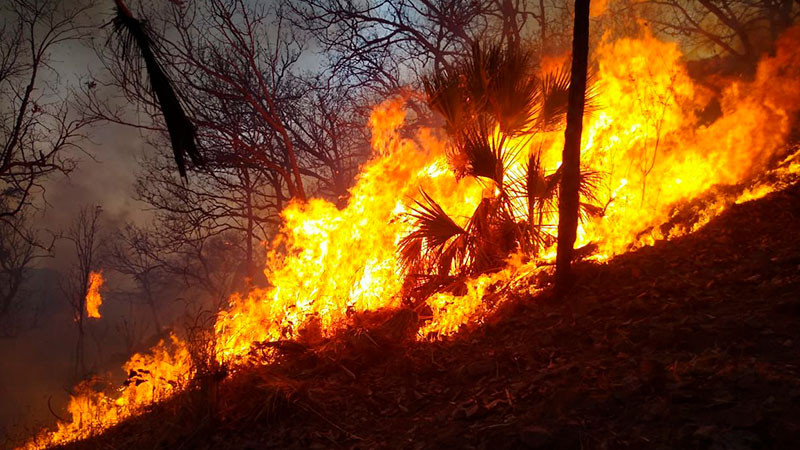 Brigadistas combaten incendios forestales en Morelia y La Huacana