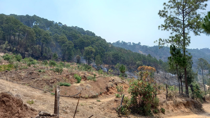 Brigadistas combaten incendios forestales en Morelia y La Huacana