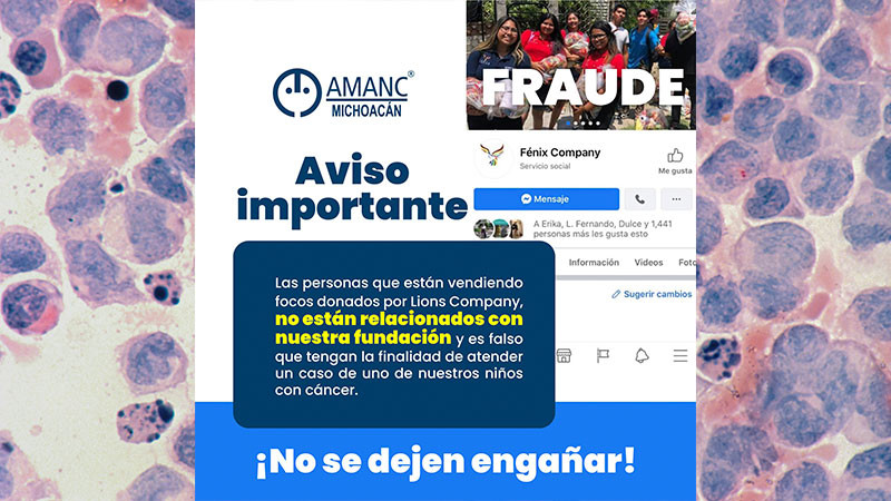 Se deslinda AMANC Michoacán de actos fraudulentos en Ario de Rosales 