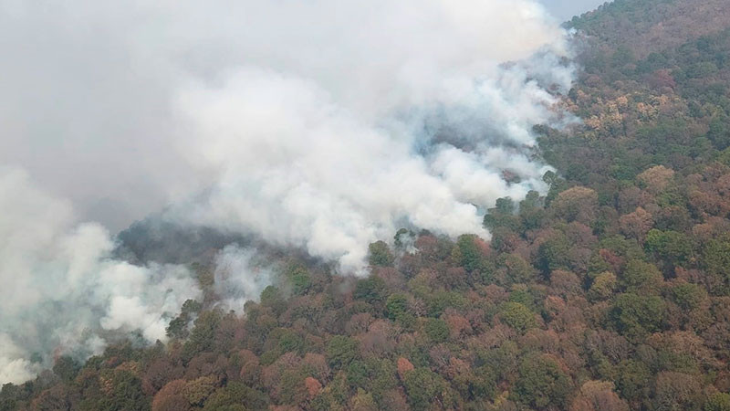 Controlado un 60 % el incendio forestal en Pátzcuaro y Salvador Escalante 