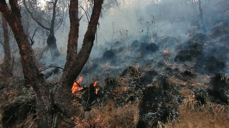 Brigadistas controlan incendio forestal en Morelia y atienden 9 más en otros municipios