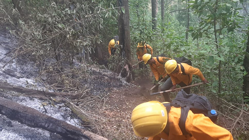 Brigadistas controlan incendio forestal en Morelia y atienden 9 más en otros municipios