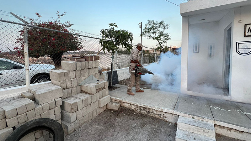 Implementa SSM operativo contra el dengue en panteón de La Piedad