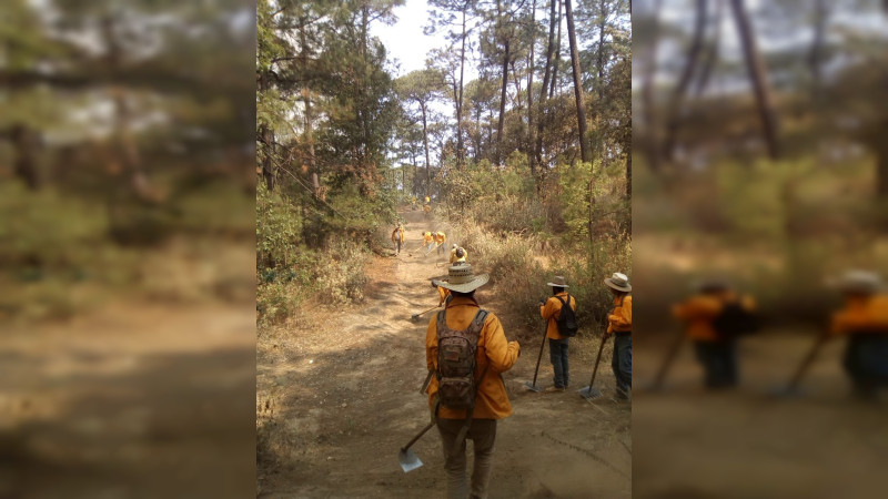 Atienden brigadistas incendio forestal en Zinapécuaro