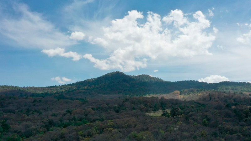 Cerro del Águila cumple un año como Área Natural Protegida 