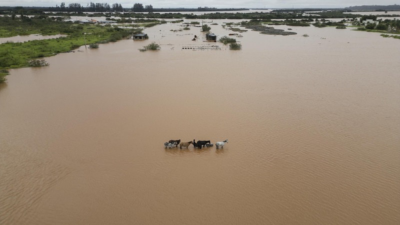 Lluvias intensas y severas inundaciones dejan al menos 144 personas sin vida en Brasil 