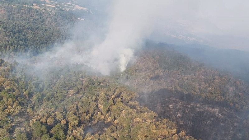 Helicóptero combate incendio forestal en Zinapécuaro; controlado en un 80% 