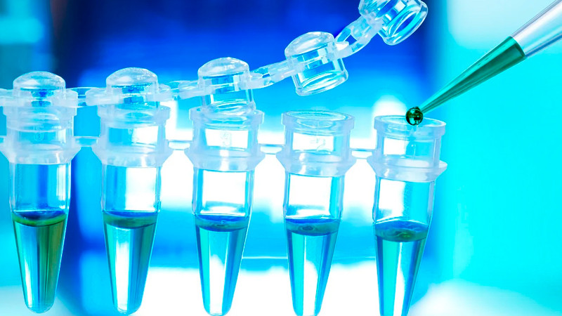 En primer trimestre de 2024 Bayer elimina mil 500 empleos 