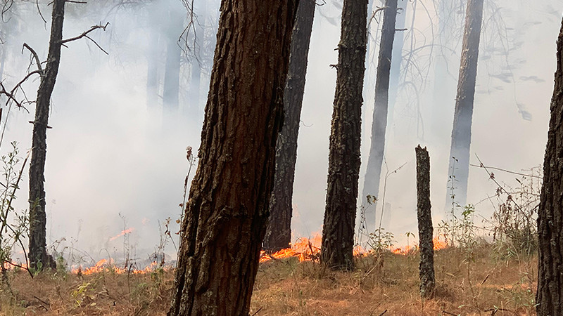 Diana Caballero insta a la acción colectiva ante incendio en el Cerro del Jaral 