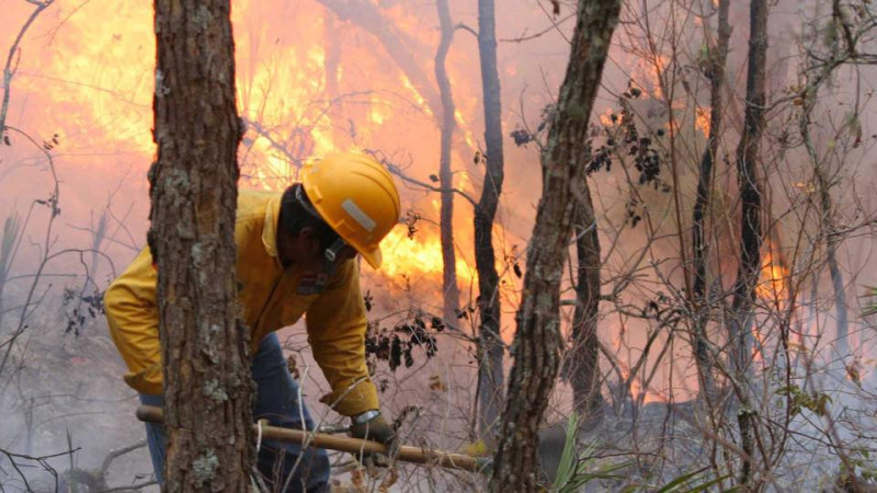 Voluntario que combatía incendio forestal en San Pedro Cafetitlán, en Oaxaca, pierde la vida 