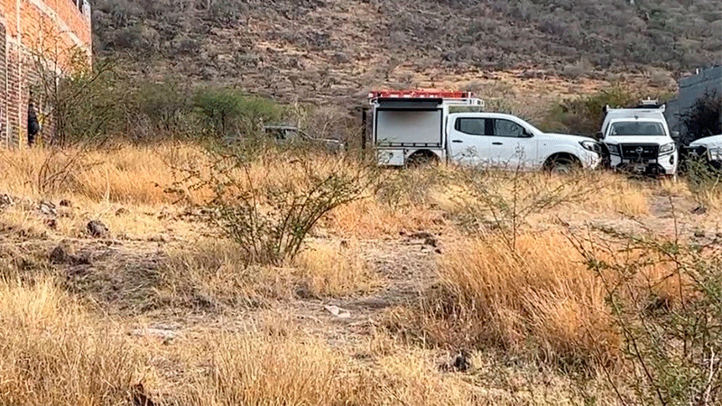 Encuentran fosa clandestina con 21 cuerpos en Abasolo, Guanajuato: la más grande del 2024 