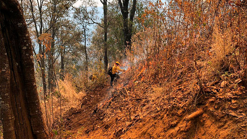 Controlados los incendios forestales en Pátzcuaro y Reserva de la Monarca